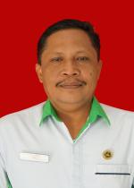 Ir. Nyoman Bagus Paramartha, M.SI